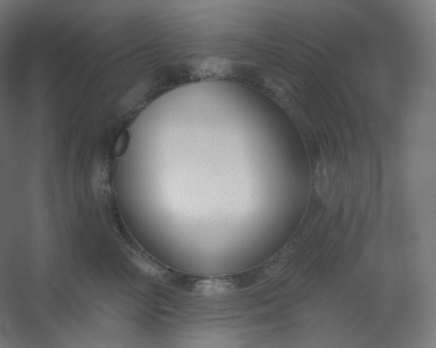 X0000054360714200508121514