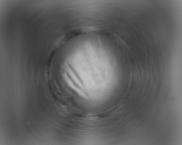X0000054360716200508121514