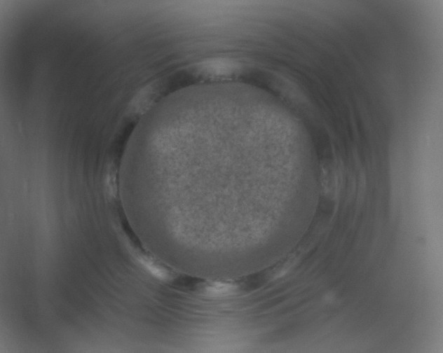 X0000054360718200508121514