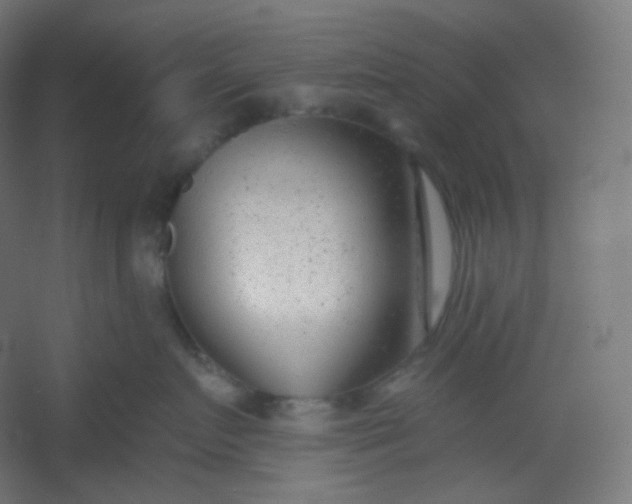 X0000054360719200508121514