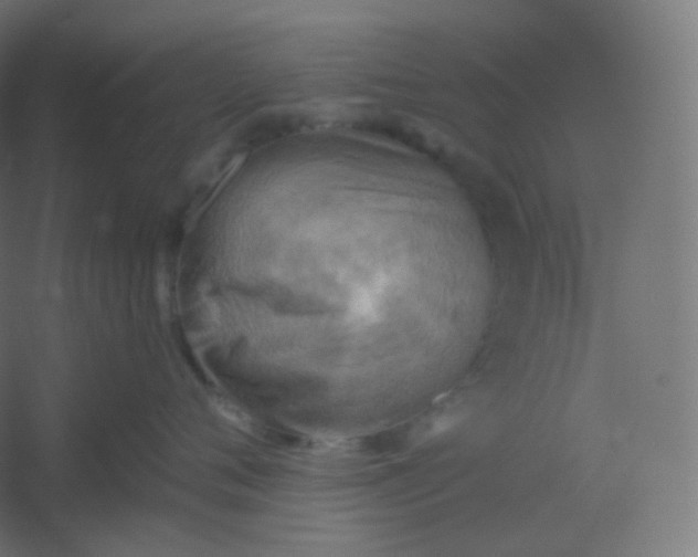 X0000054360720200508121514