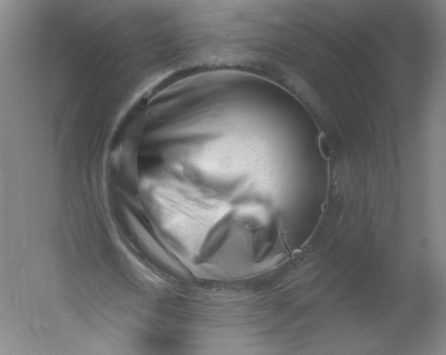 X0000054360722200508121513