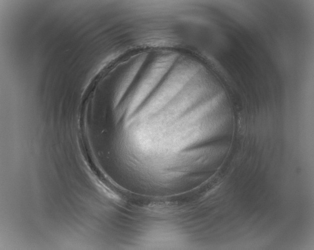 X0000054360725200508121513