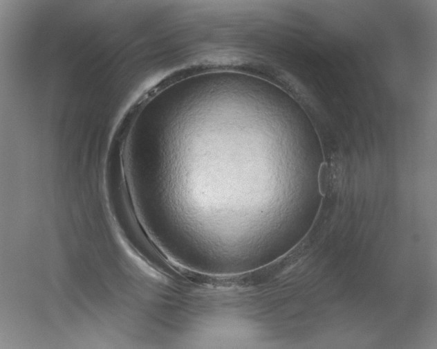 X0000054360726200508121513