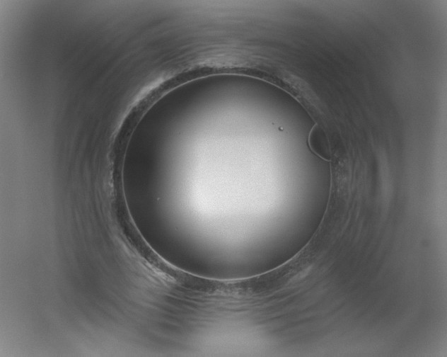 X0000054360727200508121513