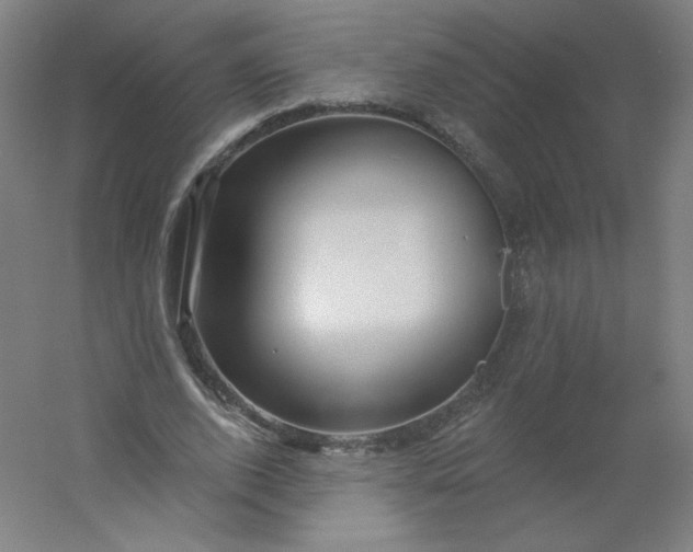 X0000054360728200508121513