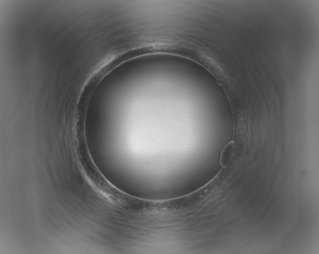 X0000054360730200508121513
