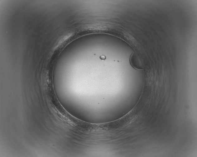 X0000054360731200508121513