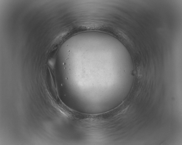 X0000054360733200508121513