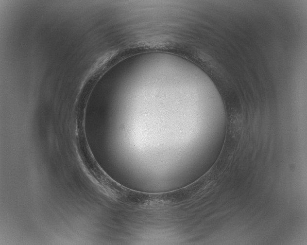 X0000054360734200508121513
