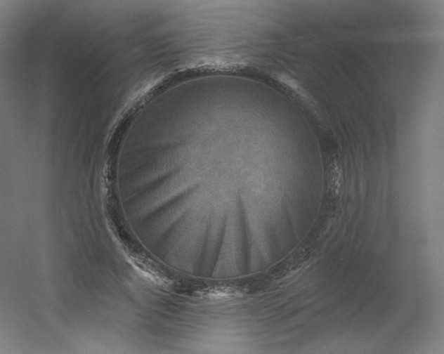 X0000054360736200508121513