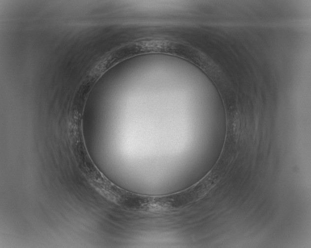 X0000054360737200508121513