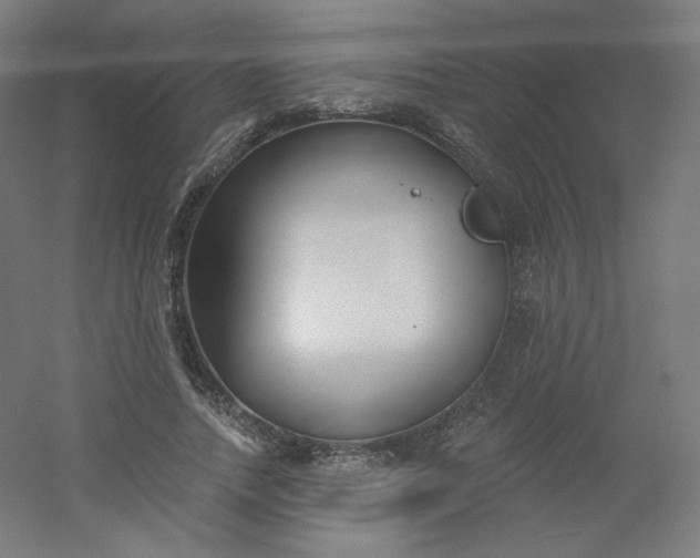 X0000054360738200508121513