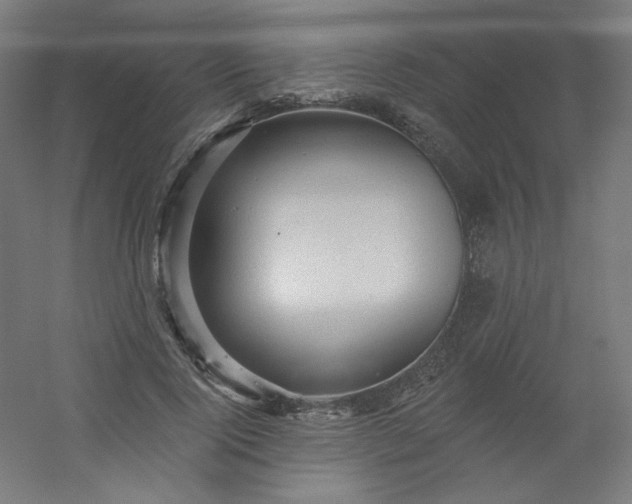 X0000054360740200508121513