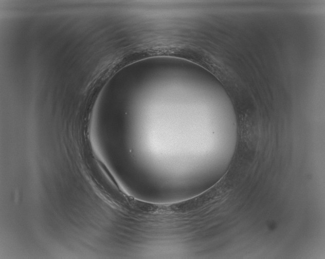 X0000054360742200508121513