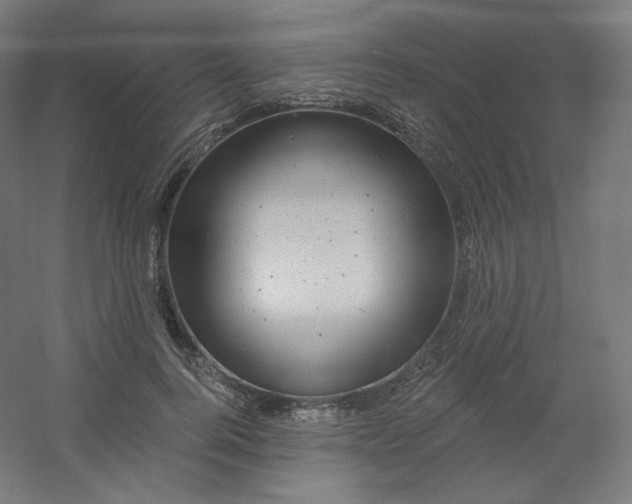 X0000054360744200508121513