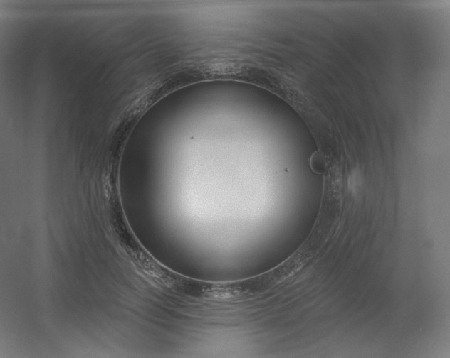 X0000054360746200508121513
