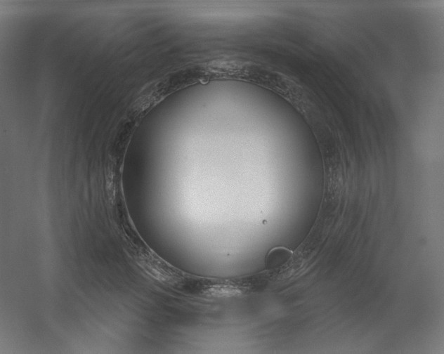 X0000054360749200508121513