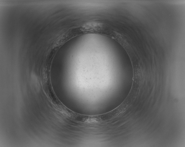 X0000054360751200508121514