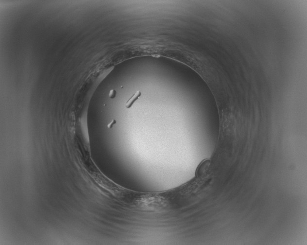 X0000054360752200508121514
