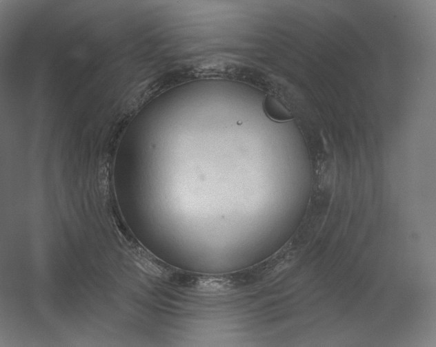 X0000054360753200508121514