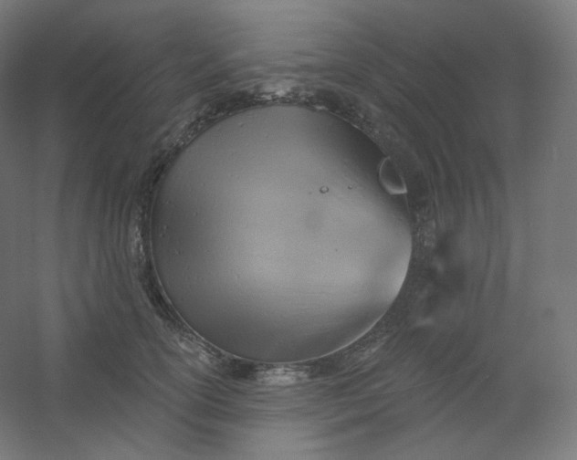 X0000054360754200508121514
