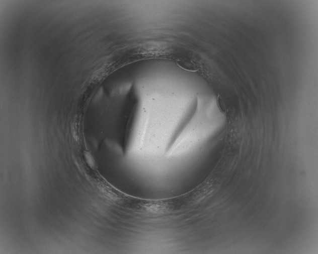 X0000054360755200508121514
