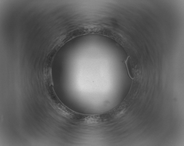 X0000054360756200508121514