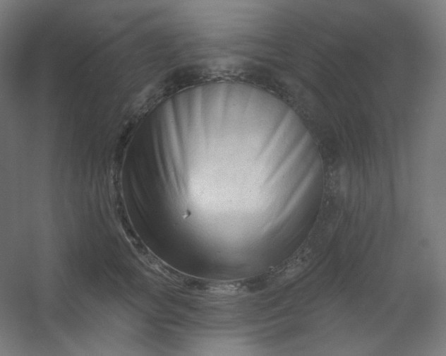 X0000054360757200508121514