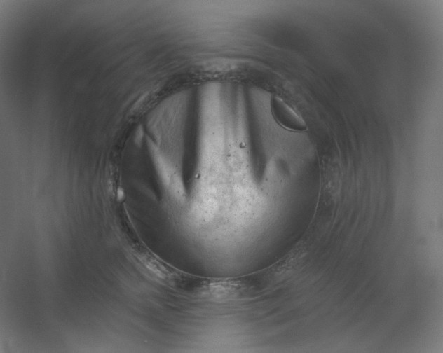X0000054360758200508121514