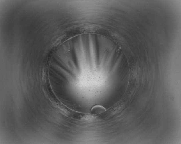 X0000054360759200508121514