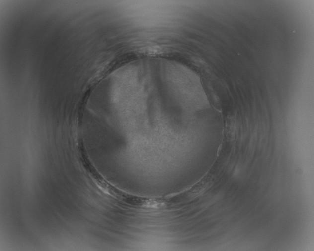 X0000054360760200508121514