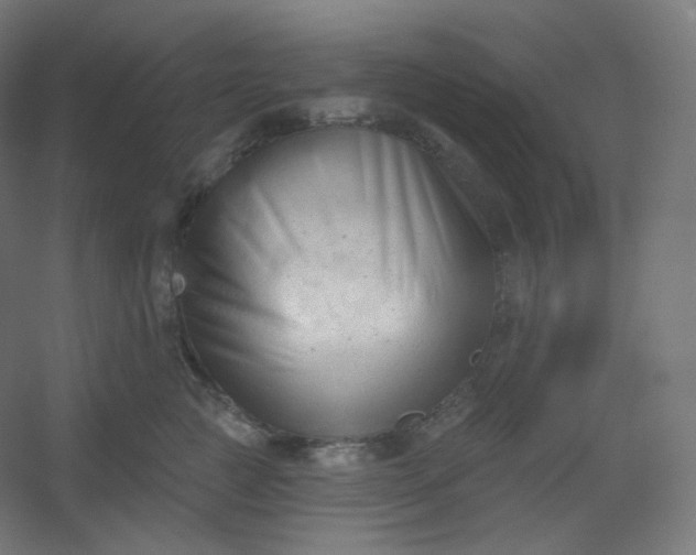 X0000054360761200508121514