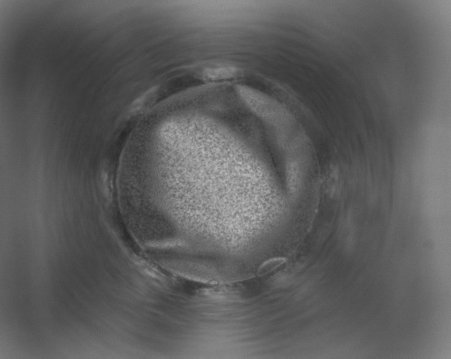 X0000054360763200508121514