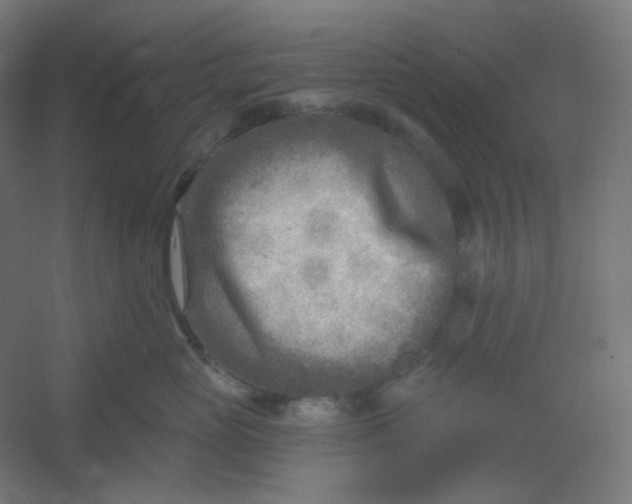 X0000054360765200508121514