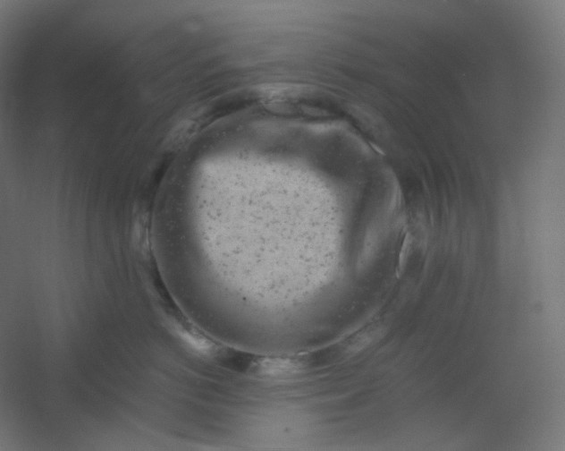 X0000054360766200508121514