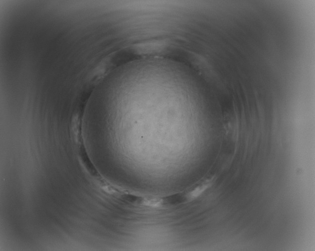 X0000054360767200508121514