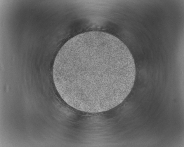 X0000054360769200508121513
