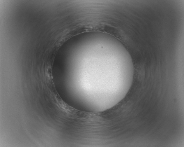 X0000054360770200508121513