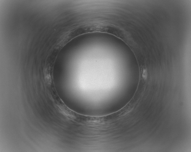 X0000054360771200508121513