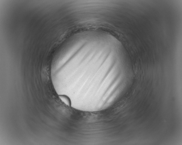 X0000054360772200508121513