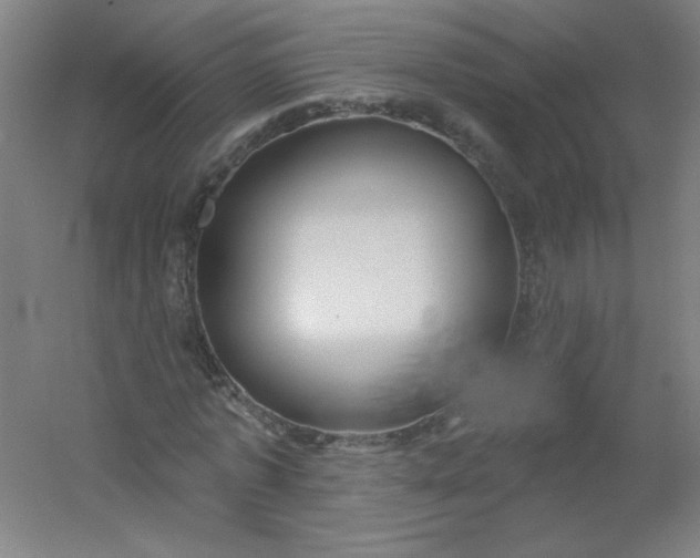 X0000054360773200508121513