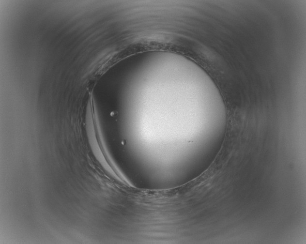 X0000054360774200508121513