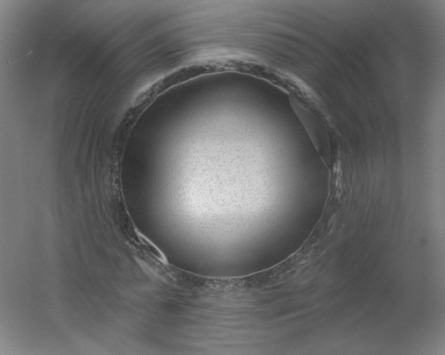 X0000054360775200508121513