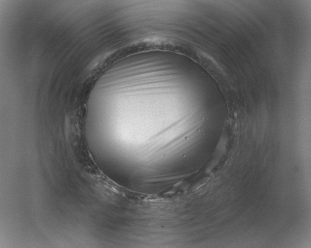 X0000054360776200508121513
