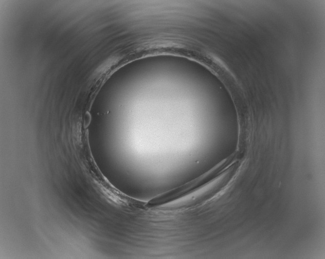 X0000054360777200508121513