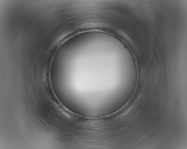X0000054360778200508121513