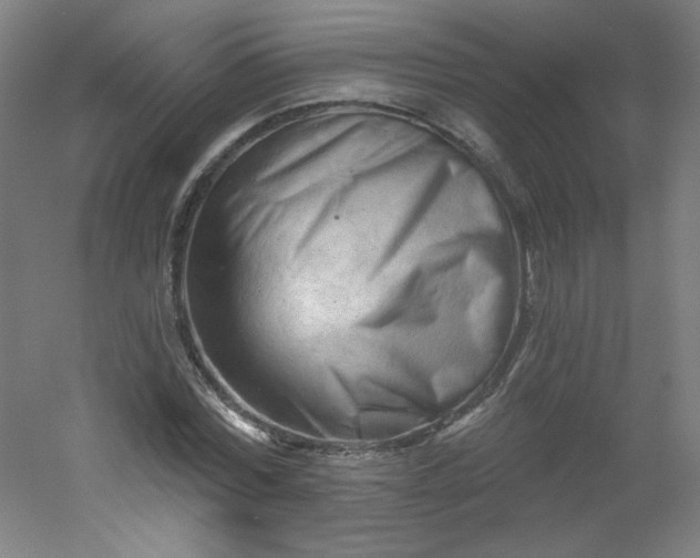 X0000054360780200508121513