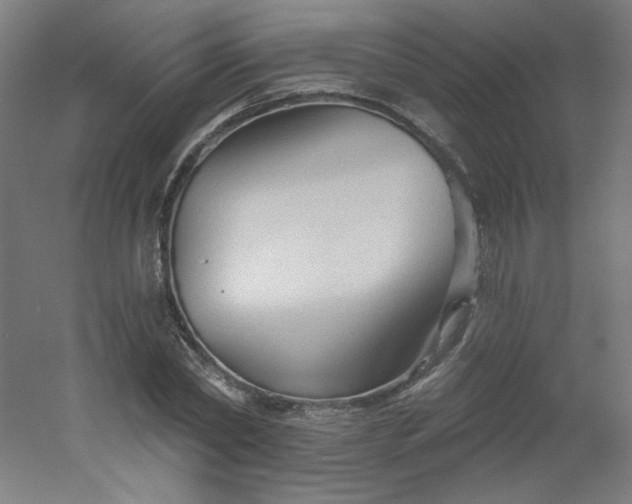 X0000054360782200508121513