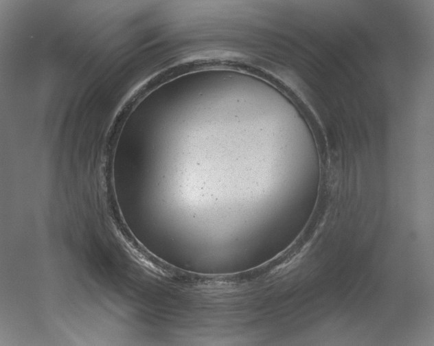 X0000054360783200508121513